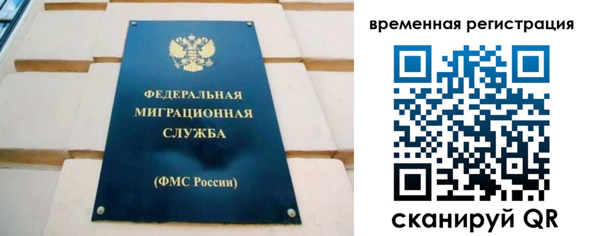 прописка гарантия в Коркино